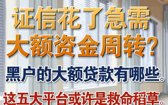 征信花了急需大额资金周转？2026黑户的大额贷款有哪些，这五大平台或许是救命稻草