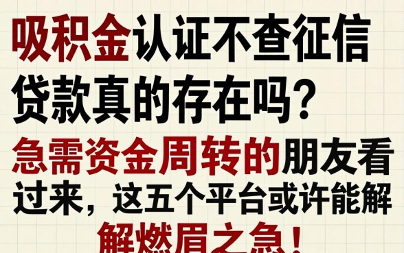 公积金认证不查征信贷款真的存在吗？急需资金周转的朋友看过来，这五个平台或许能解燃眉之急！
