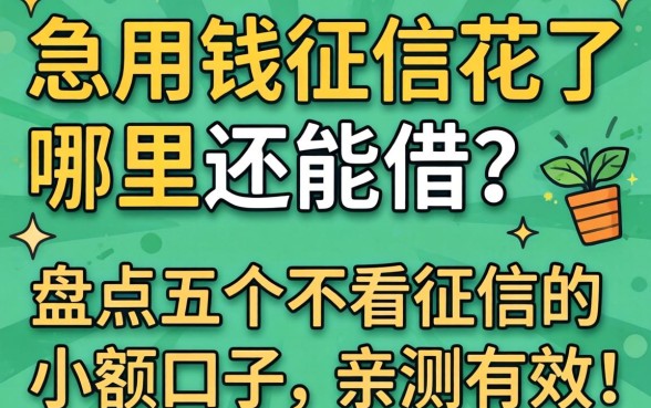 急用钱征信花了哪里还能借?盘点五个不看征信的小额口子,亲测有效!