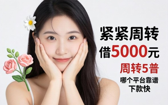 手头紧想借5000元周转，哪个平台靠谱且下款快？