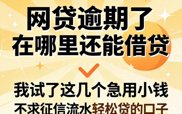 网贷逾期了在哪里还能借贷，我试了这几个急用小钱不求征信流水轻松贷的口子