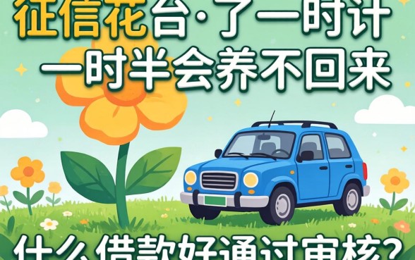 征信花了一时半会养不回来,什么借款好通过审核?