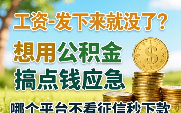 工资一发下来就没了?想用公积金搞点钱应急,哪个平台不看征信秒下款?