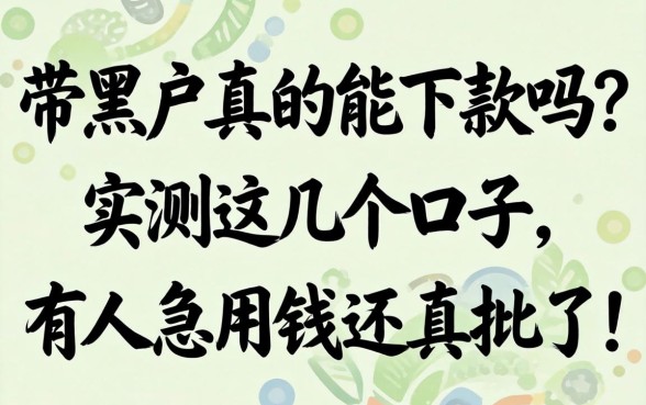 网带黑户真的能下款吗?实测这几个口子,有人急用钱还真批了!