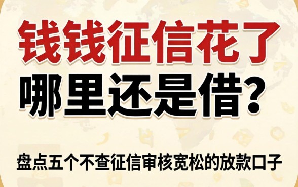 急需用钱征信花了哪里还能借？盘点五个不查征信审核宽松的放款口子