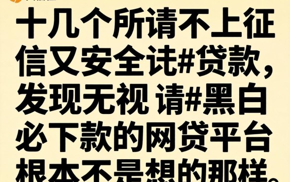 我试了十几个所谓不上征信又安全的贷款，发现无视黑白必下款的网贷平台根本不是你想的那样