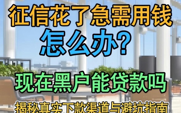 征信花了急需用钱怎么办？现在黑户能贷款吗？揭秘真实下款渠道与避坑指南