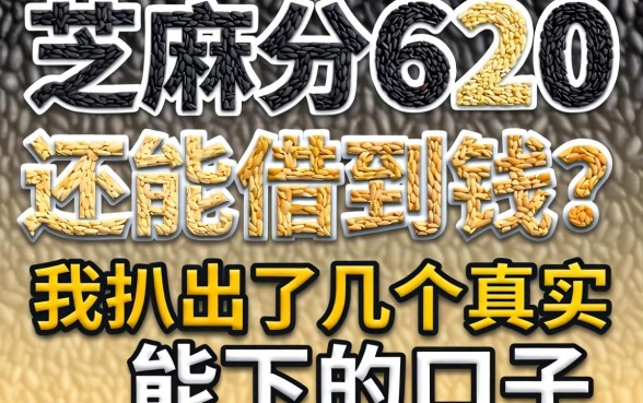 芝麻分620还能借到钱?我扒出了几个真实能下的口子