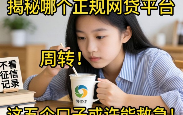 急需资金周转？揭秘哪个正规网贷平台不看征信记录，这五个口子或许能救急！