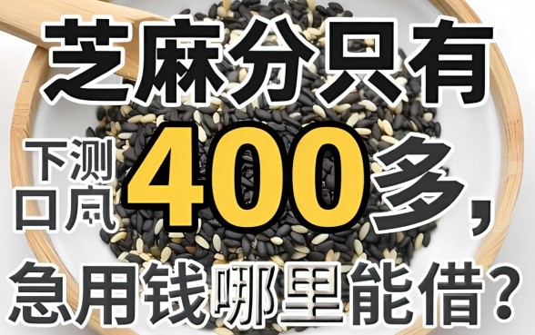 芝麻分只有400多,急用钱哪里能借?分享几个实测下款的口子