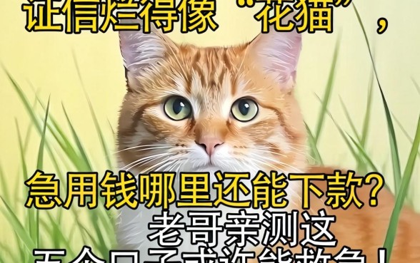 征信烂得像“花猫”,急用钱哪里还能下款?老哥亲测这五个口子或许能救急!