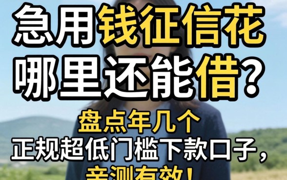 急用钱征信花哪里还能借?盘点2026年几个正规超低门槛下款口子,亲测有效!