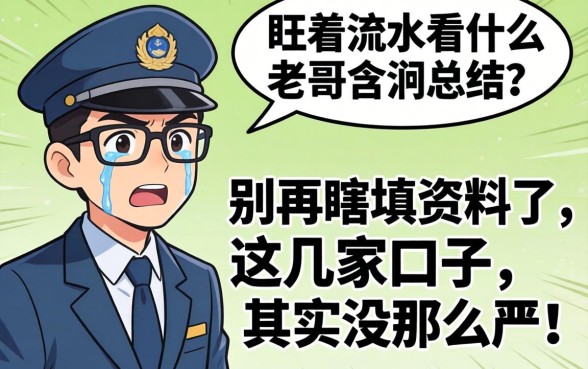 审核员到底盯着流水看什么?老哥含泪总结:别再瞎填资料了,这几家口子其实没那么严!
