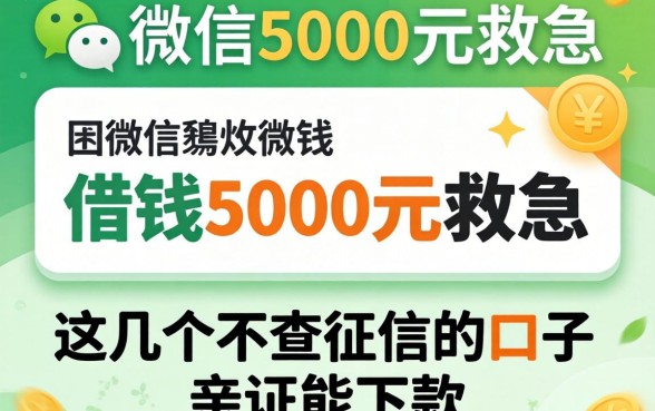 微信借钱5000元救急，这几个不查征信的口子亲测能下款
