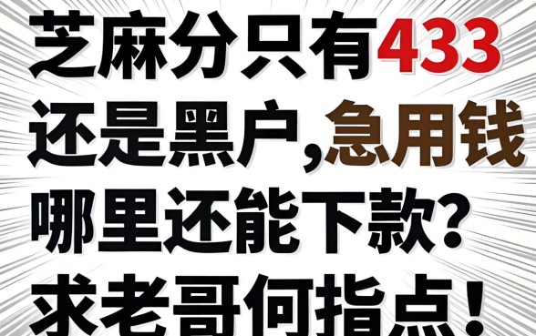 芝麻分只有433还是黑户,急用钱哪里还能下款?求老哥们指点!