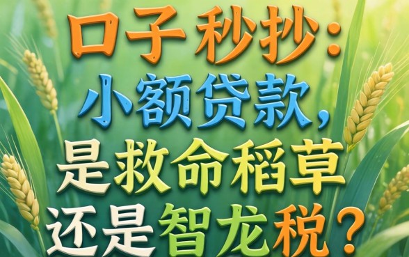 新口子秒抄小额贷款，是救命稻草还是智商税？