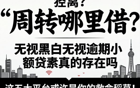 急需周转哪里借？无视黑白无视逾期小额贷款真的存在吗？这五大平台或许是你的救命稻草！
