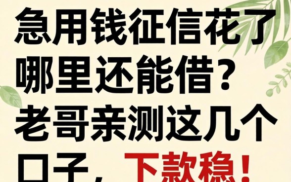 急用钱征信花了哪里还能借?老哥亲测这几个口子,下款稳!