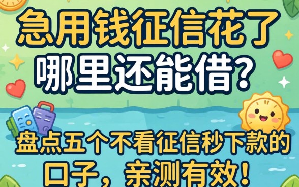 急用钱征信花了哪里还能借?盘点五个不看征信秒下款的口子,亲测有效!