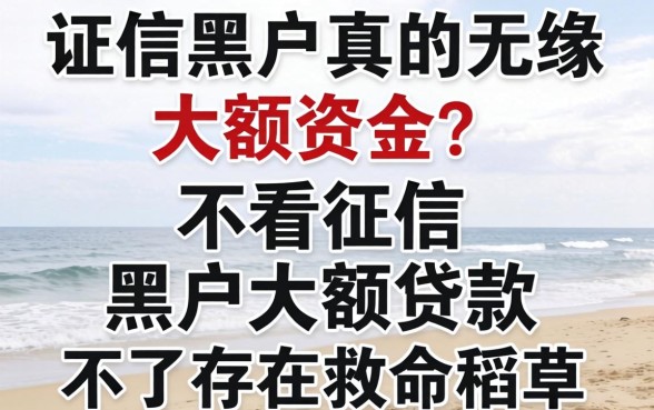 征信黑户真的无缘大额资金？不看征信的黑户大额贷款是否存在救命稻草？