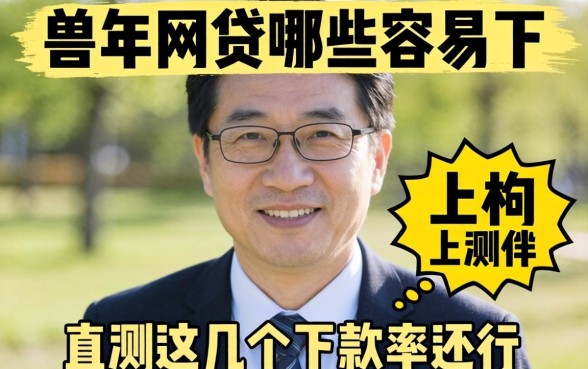 五十几岁网贷哪些容易下？实测这几个下款率还行