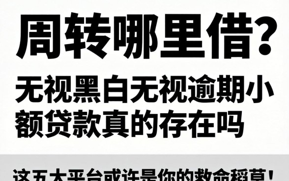 急需周转哪里借？无视黑白无视逾期小额贷款真的存在吗？这五大平台或许是你的救命稻草！