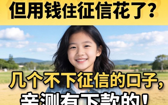 急用钱但征信花了？分享几个不下征信的口子，亲测有下款的！