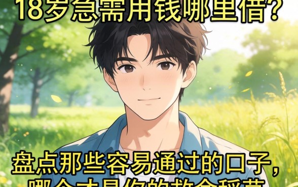 刚满18岁急需用钱哪里借？盘点那些容易通过的口子，哪个才是你的救命稻草？