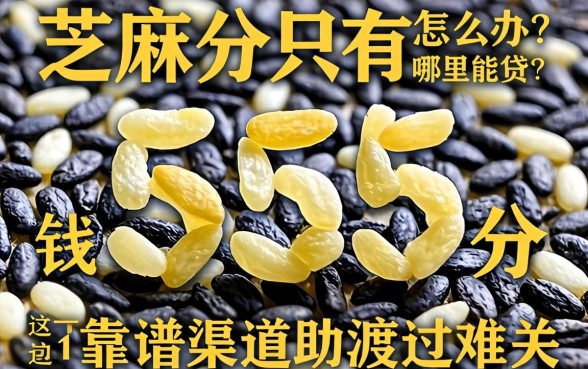 芝麻分只有555分怎么办？急需用钱哪里能贷？这五个靠谱渠道助你渡过难关