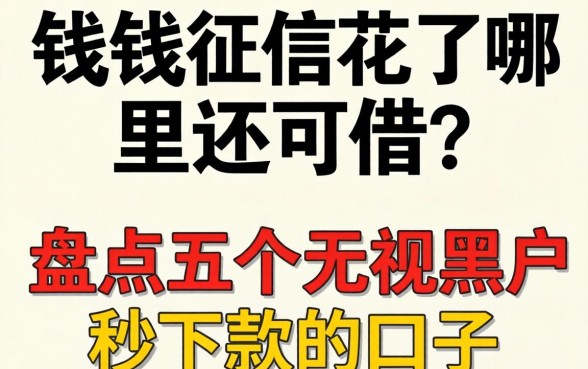 急需用钱征信花了哪里还能借?盘点五个无视黑户秒下款的口子