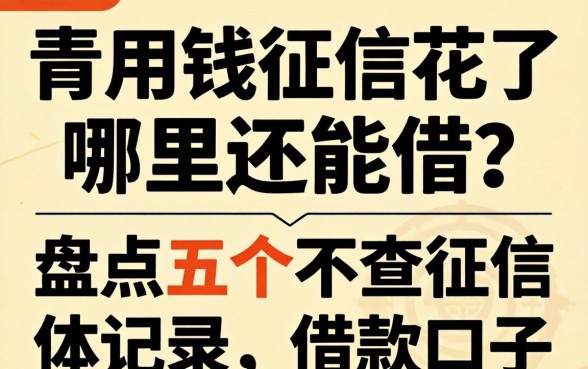 急用钱征信花了哪里还能借？盘点五个不查征信记录的借款口子