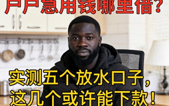 黑户急用钱哪里借？实测五个放水口子，这几个或许能下款！