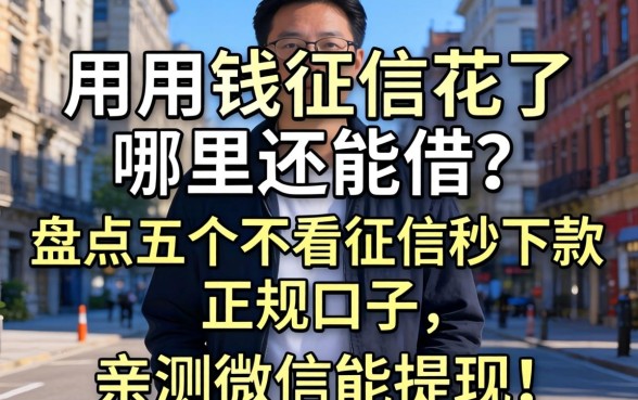 急用钱征信花了哪里还能借?盘点五个不看征信秒下款的正规口子,亲测微信能提现!