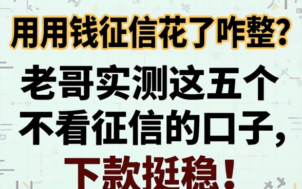 急用钱征信花了咋整？老哥实测这五个不看征信的口子，下款挺稳！