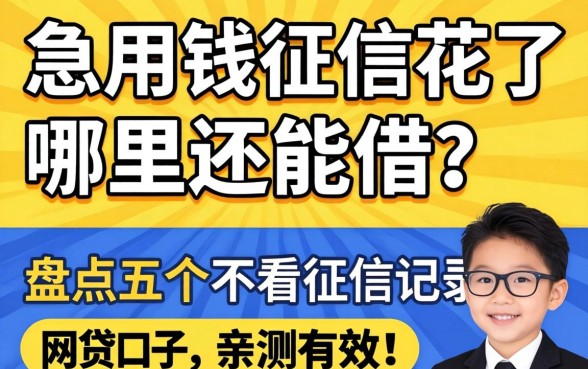 急用钱征信花了哪里还能借？盘点五个不看征信记录的网贷口子，亲测有效！