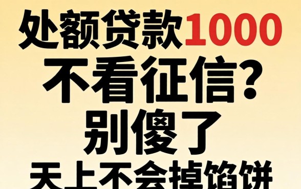小额贷款1000不看征信？别傻了，天上不会掉馅饼