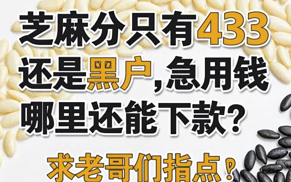 芝麻分只有433还是黑户,急用钱哪里还能下款?求老哥们指点!