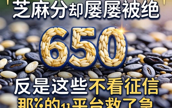 我芝麻分650却屡屡被拒，反倒是那些不看征信的平台救了急