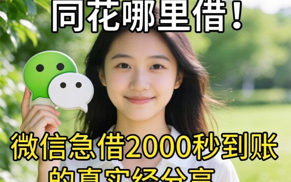 无视网花哪里借？微信急借2000秒到账的真实经历分享