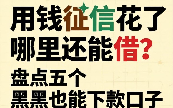 急用钱征信花了哪里还能借？盘点五个黑户也能下款的口子