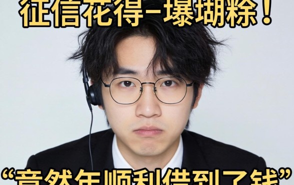 我征信花得一塌糊涂，竟然在2026年顺利借到了钱