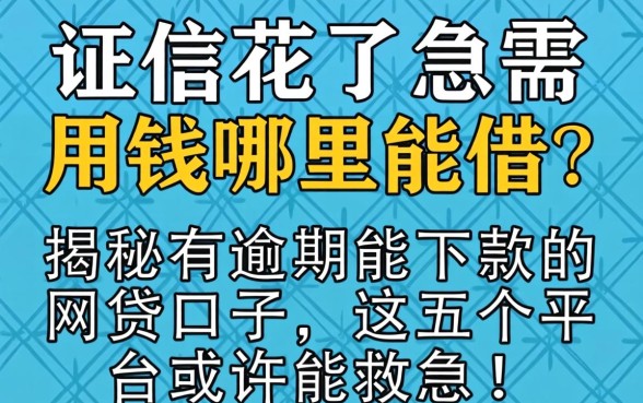 征信花了急需用钱哪里能借？揭秘有逾期能下款的网贷口子，这五个平台或许能救急！