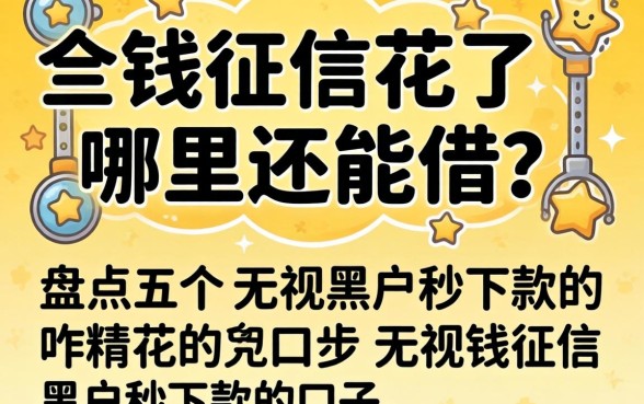 急需用钱征信花了哪里还能借?盘点五个无视黑户秒下款的口子