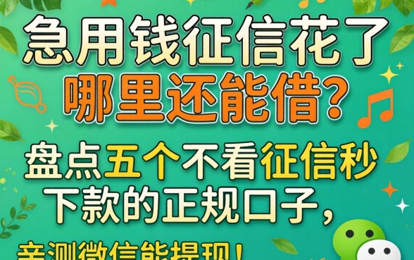 急用钱征信花了哪里还能借?盘点五个不看征信秒下款的正规口子,亲测微信能提现!