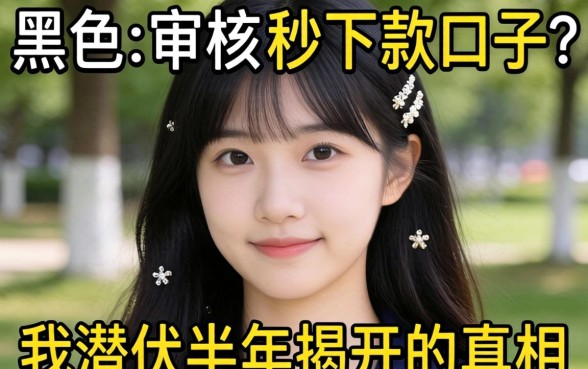 双黑不审核秒下款口子？我潜伏半年揭开的真相