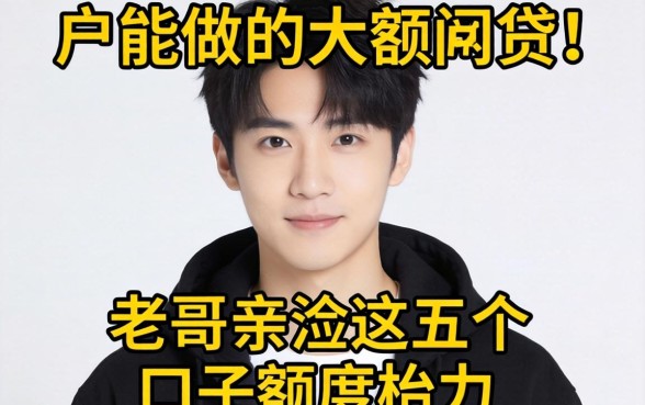 纯白户能做的大额网贷有哪些，老哥亲测这五个口子额度给力