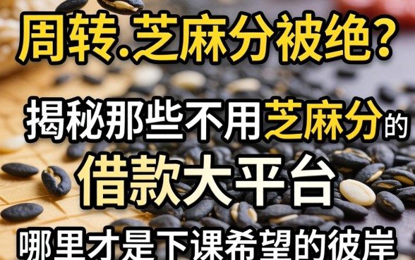 急需周转却因芝麻分被拒?揭秘那些不用芝麻分的借款大平台,哪里才是下款希望的彼岸?