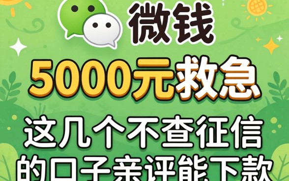 微信借钱5000元救急，这几个不查征信的口子亲测能下款