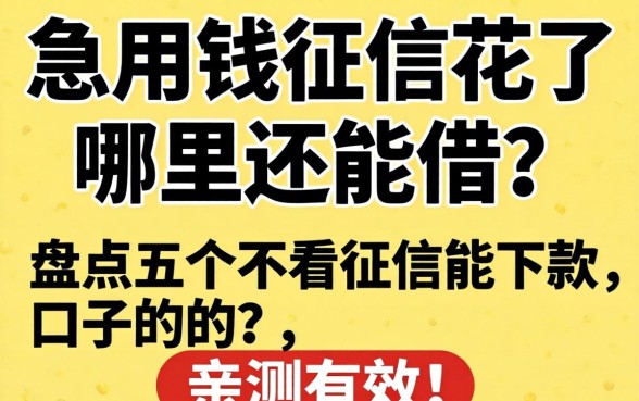 急用钱征信花了哪里还能借？盘点五个不看征信能下款的口子，亲测有效！