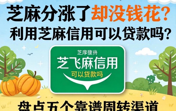 芝麻分涨了却没钱花?利用芝麻信用可以贷款吗?盘点五个靠谱周转渠道